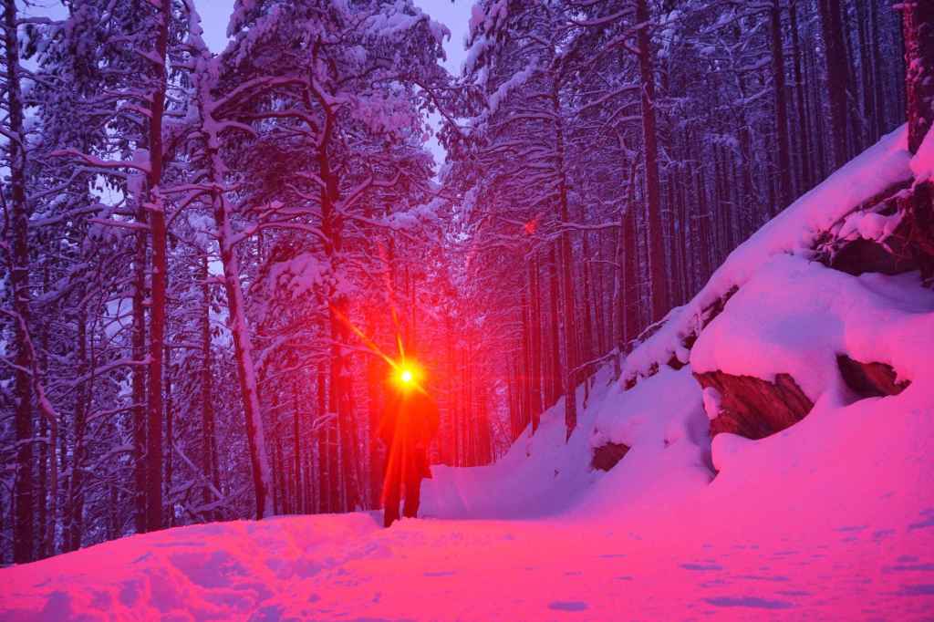 Schneeschuhwanderung