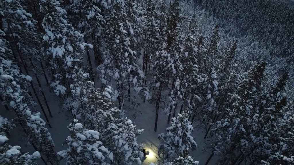 Wanderung Durch Bergwald