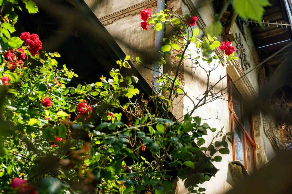 Villa Fassadenschäden Drohne